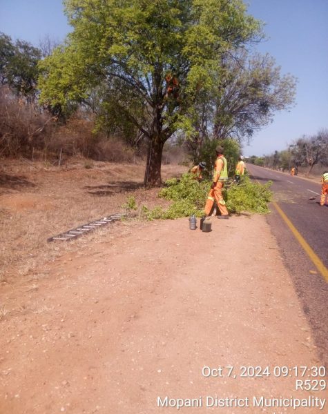 WhatsApp Image 2025-01-22 at 14.24.09_357f88e6